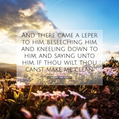 Picture 07 - Mark 1:40 KJV - And there came a leper to him, beseeching him, - Bible Verse Picture