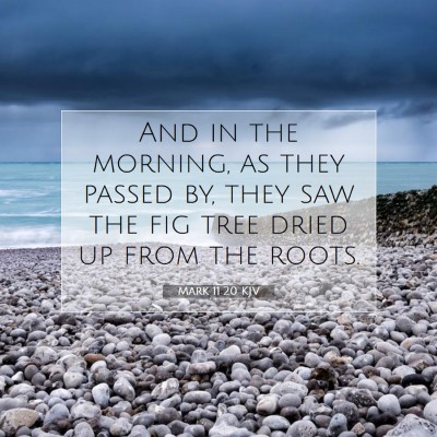 Picture 07 - Mark 11:20 KJV - And in the morning, as they passed by, they saw - Bible Verse Picture