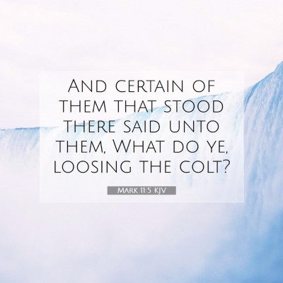 Picture 07 - Mark 11:5 KJV - And certain of them that stood there said unto - Bible Verse Picture