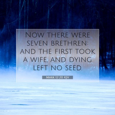 Picture 07 - Mark 12:20 KJV - Now there were seven brethren: and the first took - Bible Verse Picture