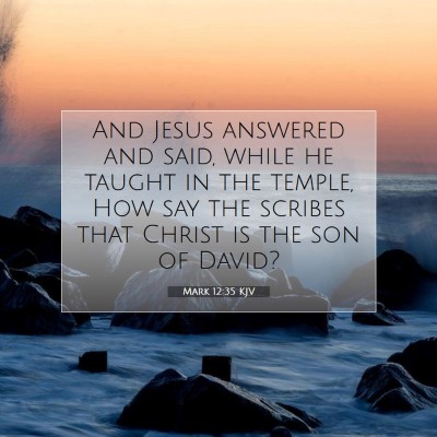 Picture 07 - Mark 12:35 KJV - And Jesus answered and said, while he taught in - Bible Verse Picture