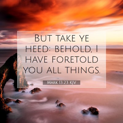 Picture 07 - Mark 13:23 KJV - But take ye heed: behold, I have foretold you all - Bible Verse Picture