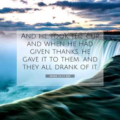 Picture 07 - Mark 14:23 KJV - And he took the cup, and when he had given - Bible Verse Picture