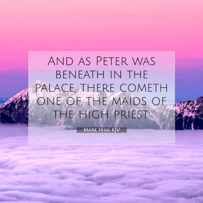 Picture 07 - Mark 14:66 KJV - And as Peter was beneath in the palace, there - Bible Verse Picture