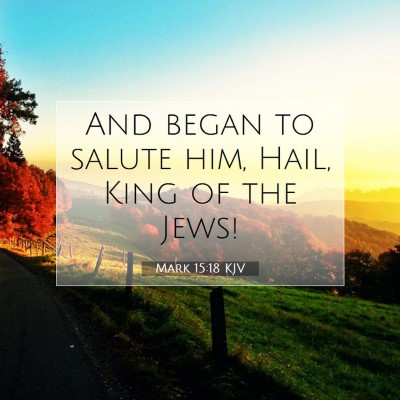 Picture 07 - Mark 15:18 KJV - And began to salute him, Hail, King of the - Bible Verse Picture