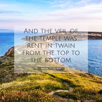 Picture 07 - Mark 15:38 KJV - And the veil of the temple was rent in twain from - Bible Verse Picture