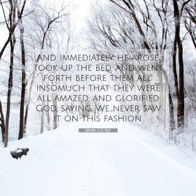 Picture 07 - Mark 2:12 KJV - And immediately he arose, took up the bed, and - Bible Verse Picture