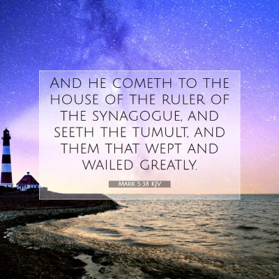 Picture 07 - Mark 5:38 KJV - And he cometh to the house of the ruler of the - Bible Verse Picture