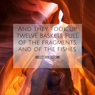 Picture 07 - Mark 6:43 KJV - And they took up twelve baskets full of the - Bible Verse Picture