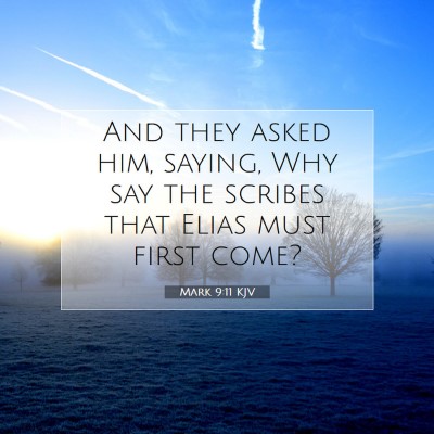 Picture 07 - Mark 9:11 KJV - And they asked him, saying, Why say the scribes - Bible Verse Picture
