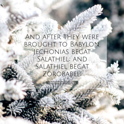 Picture 07 - Matthew 1:12 KJV - And after they were brought to Babylon, Jechonias - Bible Verse Picture