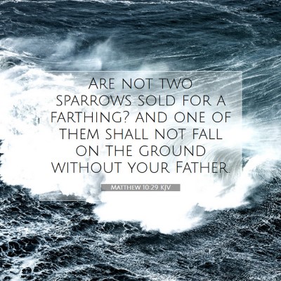 Picture 07 - Matthew 10:29 KJV - Are not two sparrows sold for a farthing? and one - Bible Verse Picture