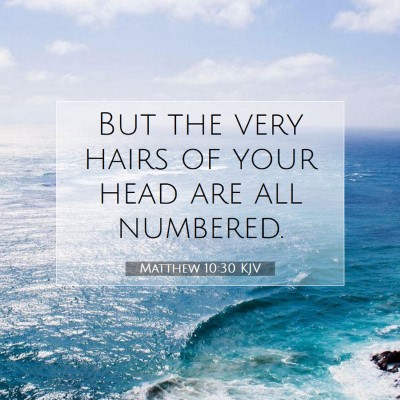 Picture 07 - Matthew 10:30 KJV - But the very hairs of your head are all - Bible Verse Picture