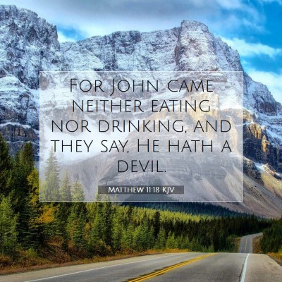 Picture 07 - Matthew 11:18 KJV - For John came neither eating nor drinking, and - Bible Verse Picture
