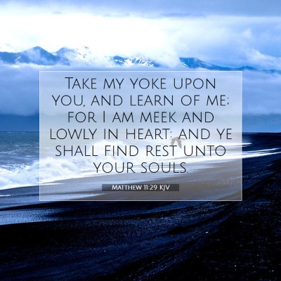Picture 07 - Matthew 11:29 KJV - Take my yoke upon you, and learn of me; for I am - Bible Verse Picture