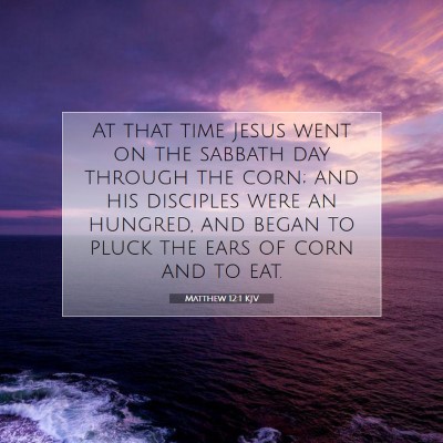 Picture 07 - Matthew 12:1 KJV - At that time Jesus went on the sabbath day - Bible Verse Picture