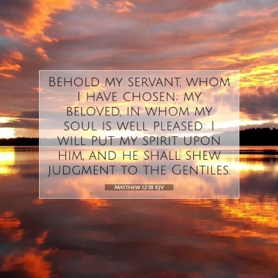Picture 07 - Matthew 12:18 KJV - Behold my servant, whom I have chosen; my - Bible Verse Picture