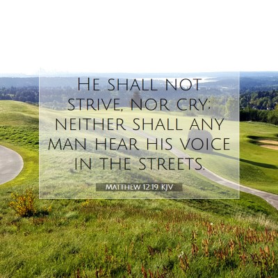 Picture 07 - Matthew 12:19 KJV - He shall not strive, nor cry; neither shall any - Bible Verse Picture