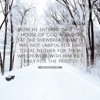 Picture 07 - Matthew 12:4 KJV - How he entered into the house of God, and did eat - Bible Verse Picture