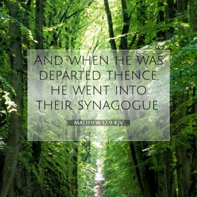 Picture 07 - Matthew 12:9 KJV - And when he was departed thence, he went into - Bible Verse Picture