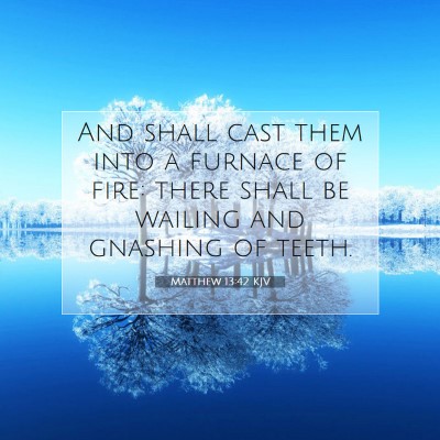 Picture 07 - Matthew 13:42 KJV - And shall cast them into a furnace of fire: there - Bible Verse Picture