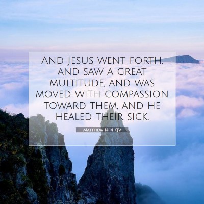 Picture 07 - Matthew 14:14 KJV - And Jesus went forth, and saw a great multitude, - Bible Verse Picture