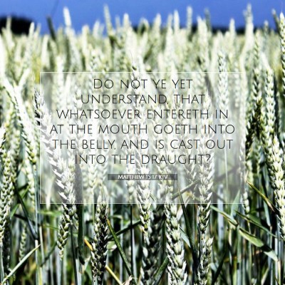Picture 07 - Matthew 15:17 KJV - Do not ye yet understand, that whatsoever - Bible Verse Picture