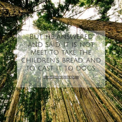 Picture 07 - Matthew 15:26 KJV - But he answered and said, It is not meet to take - Bible Verse Picture
