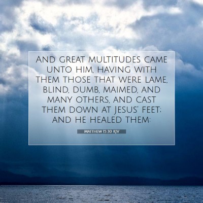 Picture 07 - Matthew 15:30 KJV - And great multitudes came unto him, having with - Bible Verse Picture