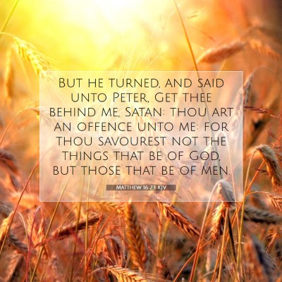 Picture 07 - Matthew 16:23 KJV - But he turned, and said unto Peter, Get thee - Bible Verse Picture