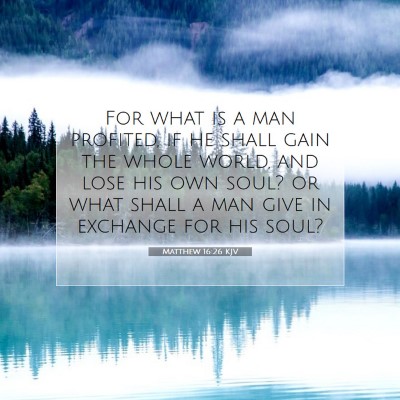 Picture 07 - Matthew 16:26 KJV - For what is a man profited, if he shall gain the - Bible Verse Picture
