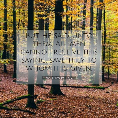 Picture 07 - Matthew 19:11 KJV - But he said unto them, All men cannot receive - Bible Verse Picture
