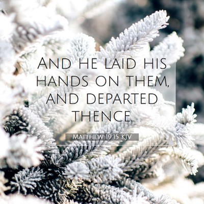 Picture 07 - Matthew 19:15 KJV - And he laid his hands on them, and departed - Bible Verse Picture
