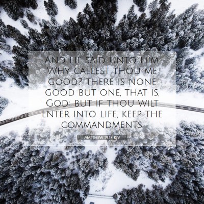 Picture 07 - Matthew 19:17 KJV - And he said unto him, Why callest thou me good? - Bible Verse Picture