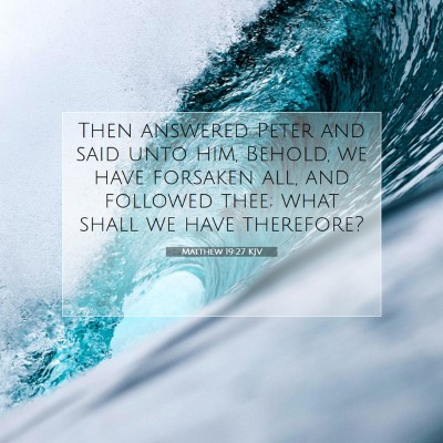 Picture 07 - Matthew 19:27 KJV - Then answered Peter and said unto him, Behold, we - Bible Verse Picture