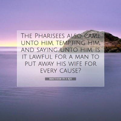 Picture 07 - Matthew 19:3 KJV - The Pharisees also came unto him, tempting him, - Bible Verse Picture