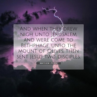 Picture 07 - Matthew 21:1 KJV - And when they drew nigh unto Jerusalem, and were - Bible Verse Picture