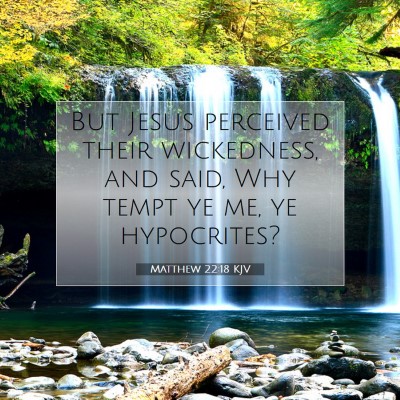 Picture 07 - Matthew 22:18 KJV - But Jesus perceived their wickedness, and said, - Bible Verse Picture