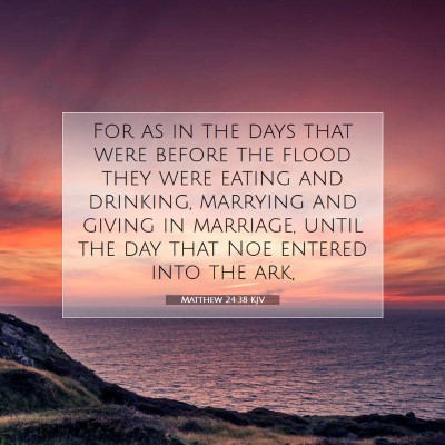 Picture 07 - Matthew 24:38 KJV - For as in the days that were before the flood - Bible Verse Picture