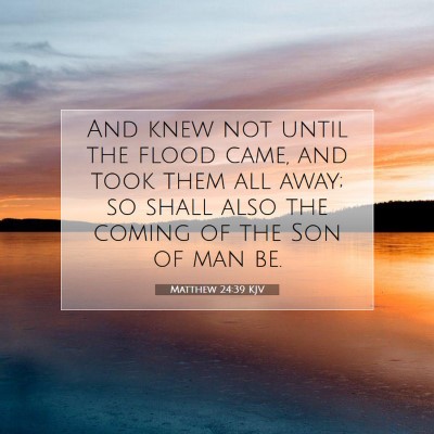 Picture 07 - Matthew 24:39 KJV - And knew not until the flood came, and took them - Bible Verse Picture