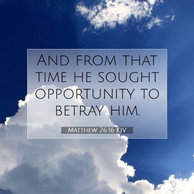 Picture 07 - Matthew 26:16 KJV - And from that time he sought opportunity to - Bible Verse Picture
