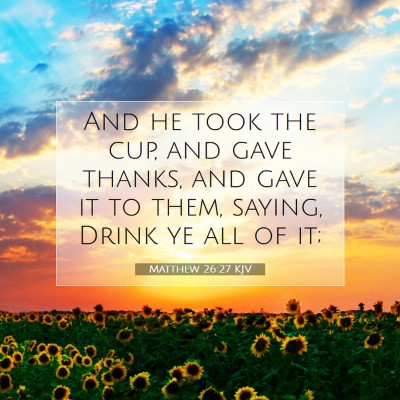 Picture 07 - Matthew 26:27 KJV - And he took the cup, and gave thanks, and gave it - Bible Verse Picture