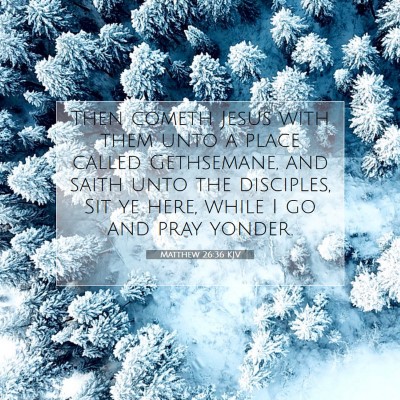 Picture 07 - Matthew 26:36 KJV - Then cometh Jesus with them unto a place called - Bible Verse Picture
