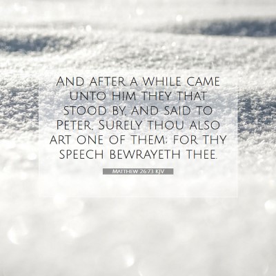 Picture 07 - Matthew 26:73 KJV - And after a while came unto him they that stood - Bible Verse Picture