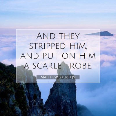Picture 07 - Matthew 27:28 KJV - And they stripped him, and put on him a scarlet - Bible Verse Picture