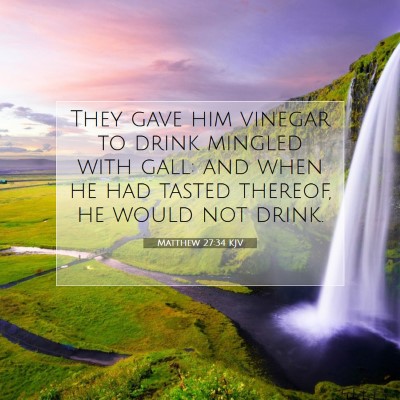 Picture 07 - Matthew 27:34 KJV - They gave him vinegar to drink mingled with gall: - Bible Verse Picture