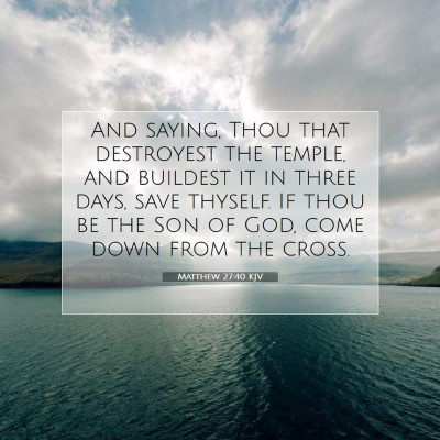 Picture 07 - Matthew 27:40 KJV - And saying, Thou that destroyest the temple, and - Bible Verse Picture