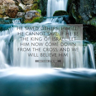 Picture 07 - Matthew 27:42 KJV - He saved others; himself he cannot save. If he be - Bible Verse Picture