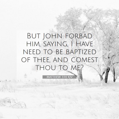 Picture 07 - Matthew 3:14 KJV - But John forbad him, saying, I have need to be - Bible Verse Picture