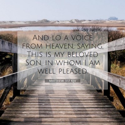 Picture 07 - Matthew 3:17 KJV - And lo a voice from heaven, saying, This is my - Bible Verse Picture